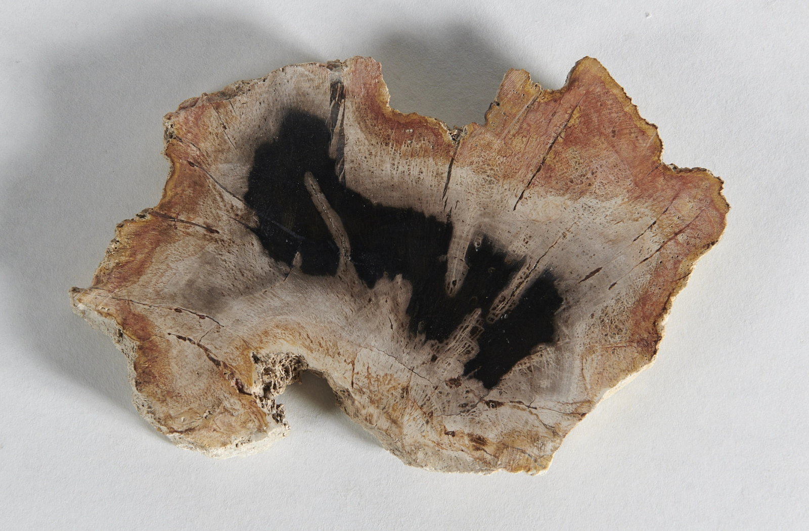 Декоративное блюдо 3P1RNS-48 18х16х2