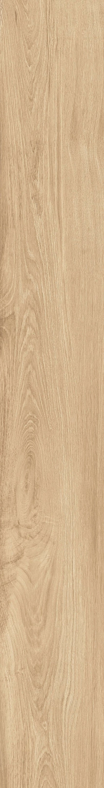 DAMA6 2015HY RM 20x150