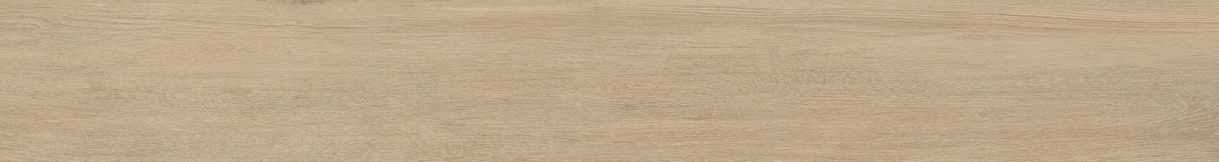 ELXR6 2015BS RM 20x150