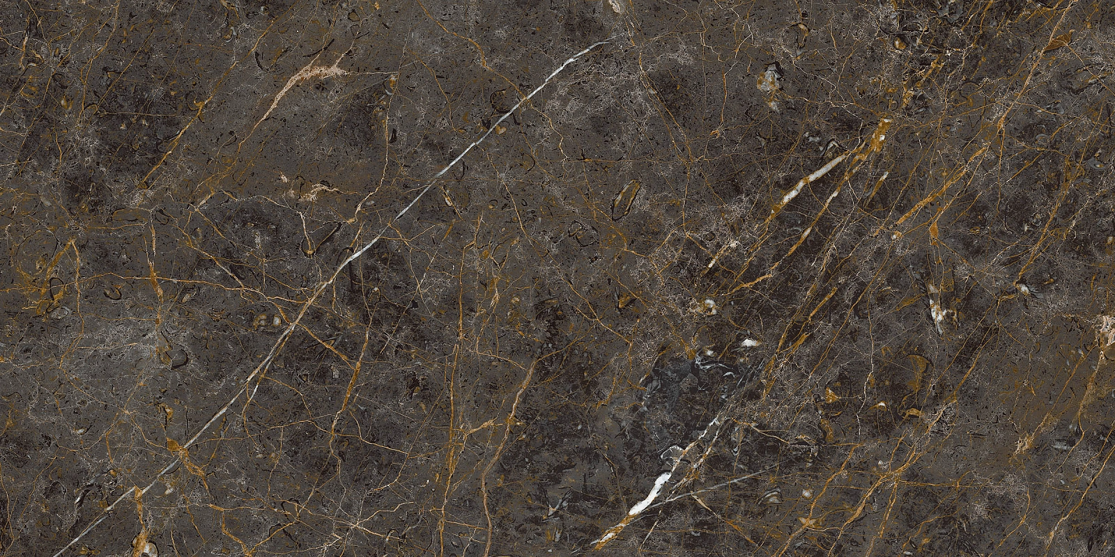 AE GOL6 12 RM 60x120