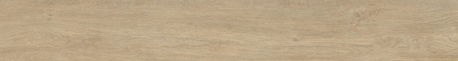 ELXR6 2015BS RM 20x150