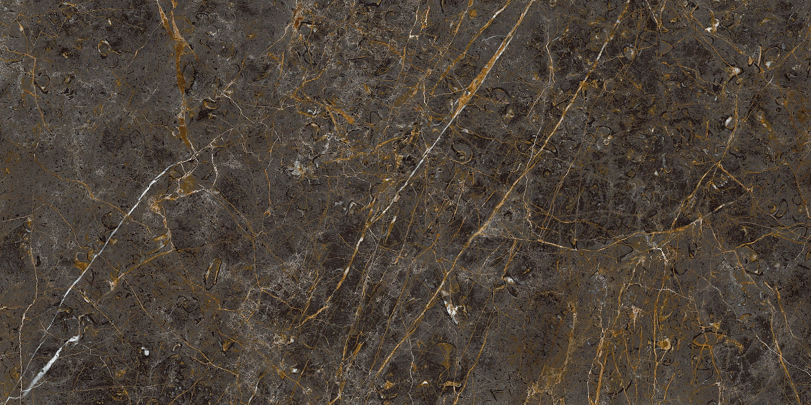 AE GOL6 12 LP 60x120