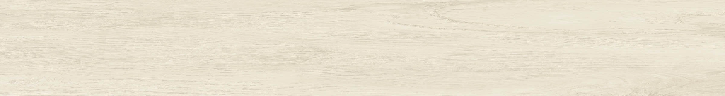 ELXR6 2015PA RM 20x150