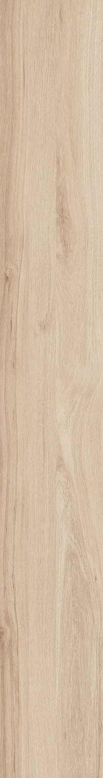 DAMA6 2015B RM 20x150