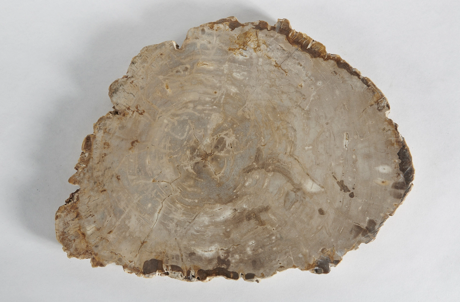 Декоративное блюдо 3P1RNB-66 49х38х3