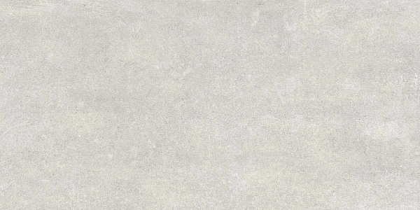 MODENA LIGHT GRAY MATT 60X120