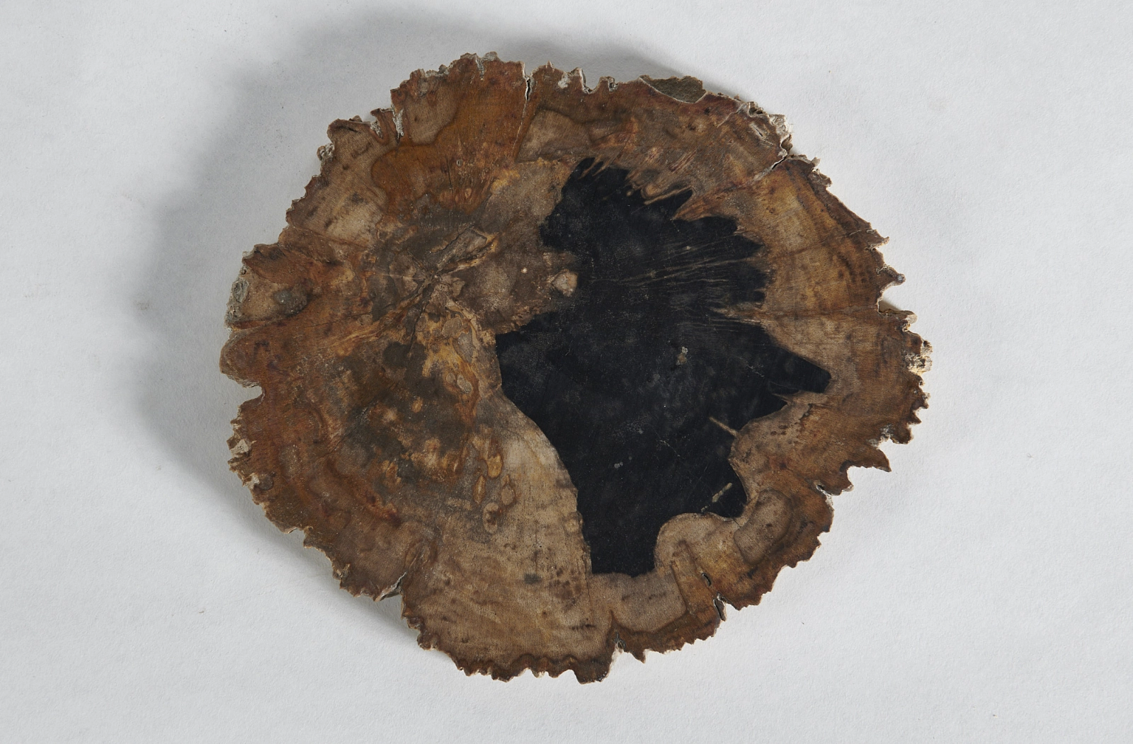 Декоративное блюдо 3P1RNM-25 23х22х2