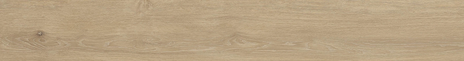 ELXR6 2015BS RM 20x150