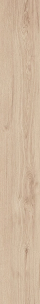 DAMA6 2015B RM 20x150