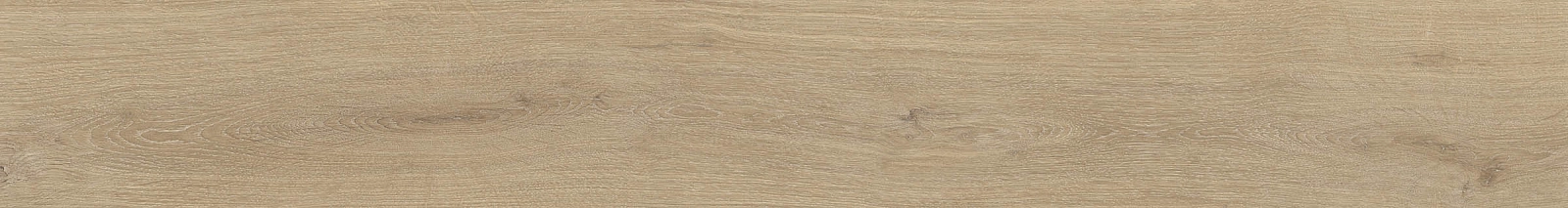 ELXR6 2015BS RM 20x150