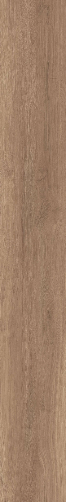 DAMA6 2015NO RM 20x150