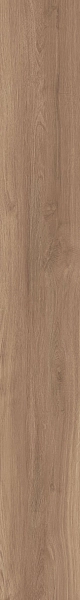 DAMA6 2015NO RM 20x150