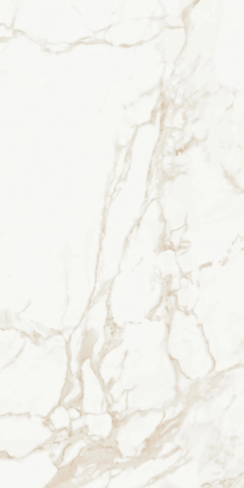 Marmo Calacatta Matt 9133 60x120