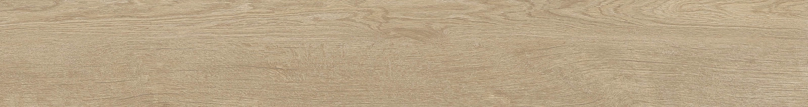 ELXR6 2015BS RM 20x150