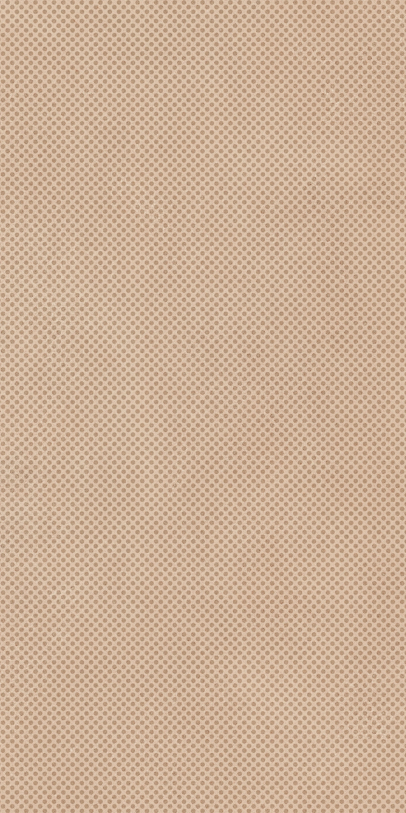 PAT6 TERRA36 RM 30x60