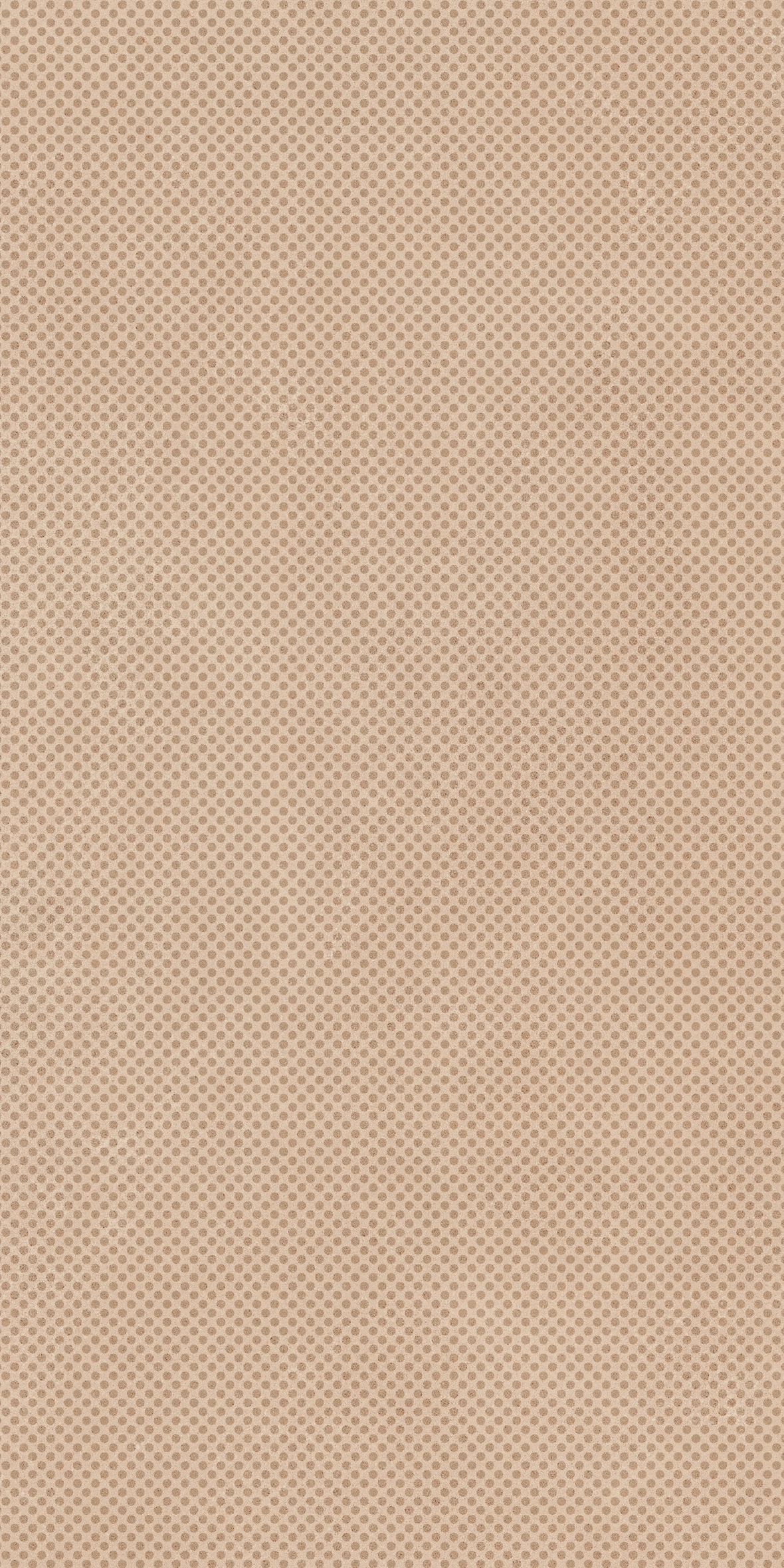 PAT6 TERRA36 RM 30x60