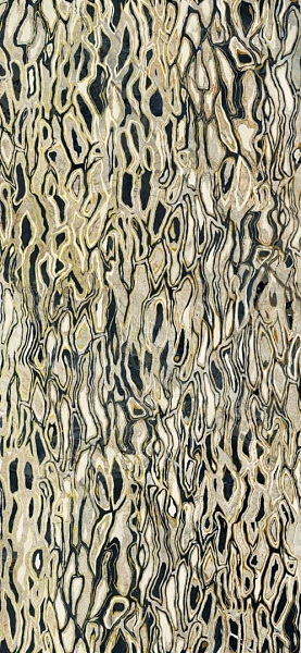 GHEPARD6 260LP 120x260