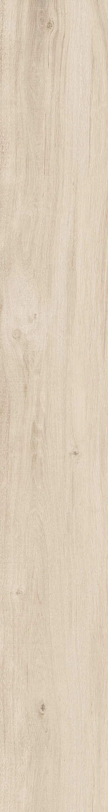 DAMA6 2015A RM 20x150