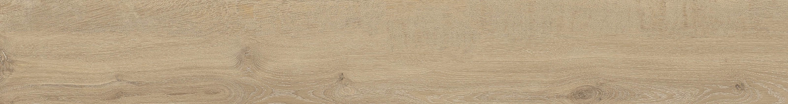 ELXR6 2015BS RM 20x150