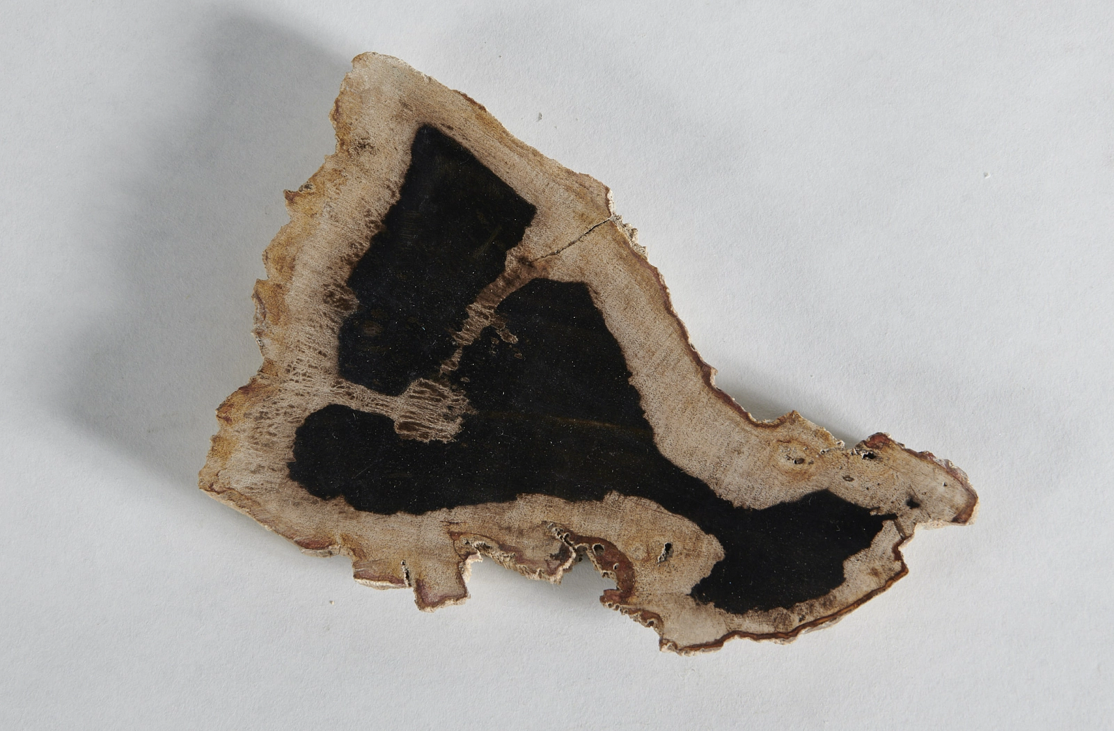 Декоративное блюдо 3P1RNM-34 24х20х2