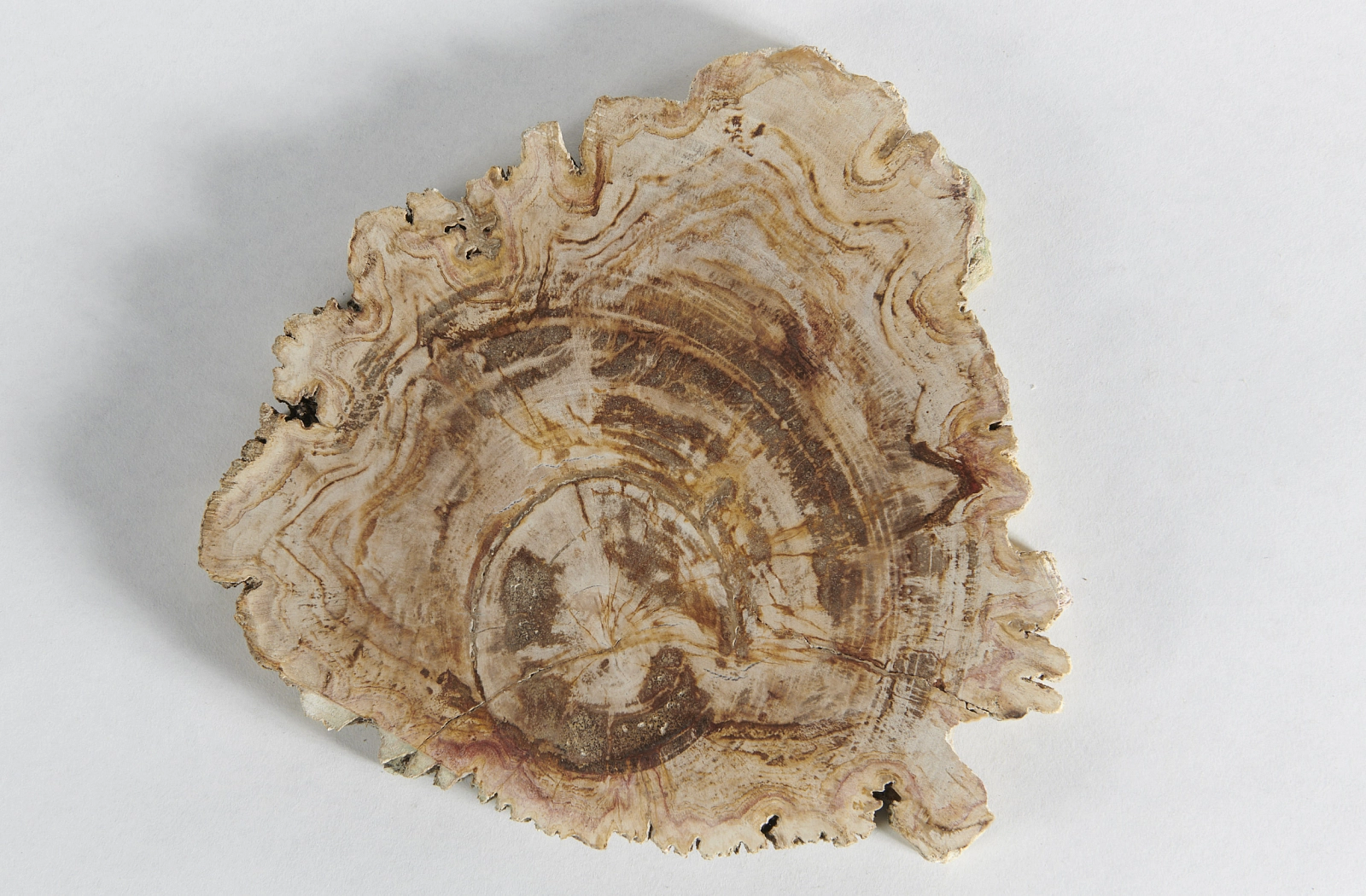 Декоративное блюдо 3P1RNM-28 23х24х1,5