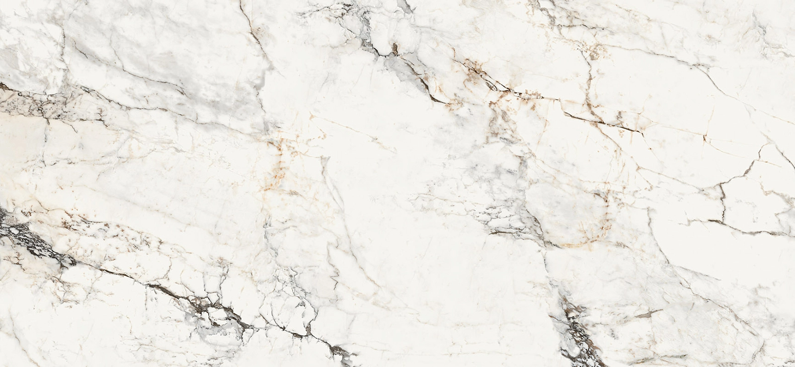 AE PAO6 260 LP 120х260