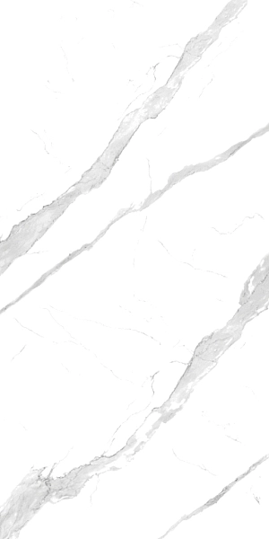 67400 Statuario 120x240