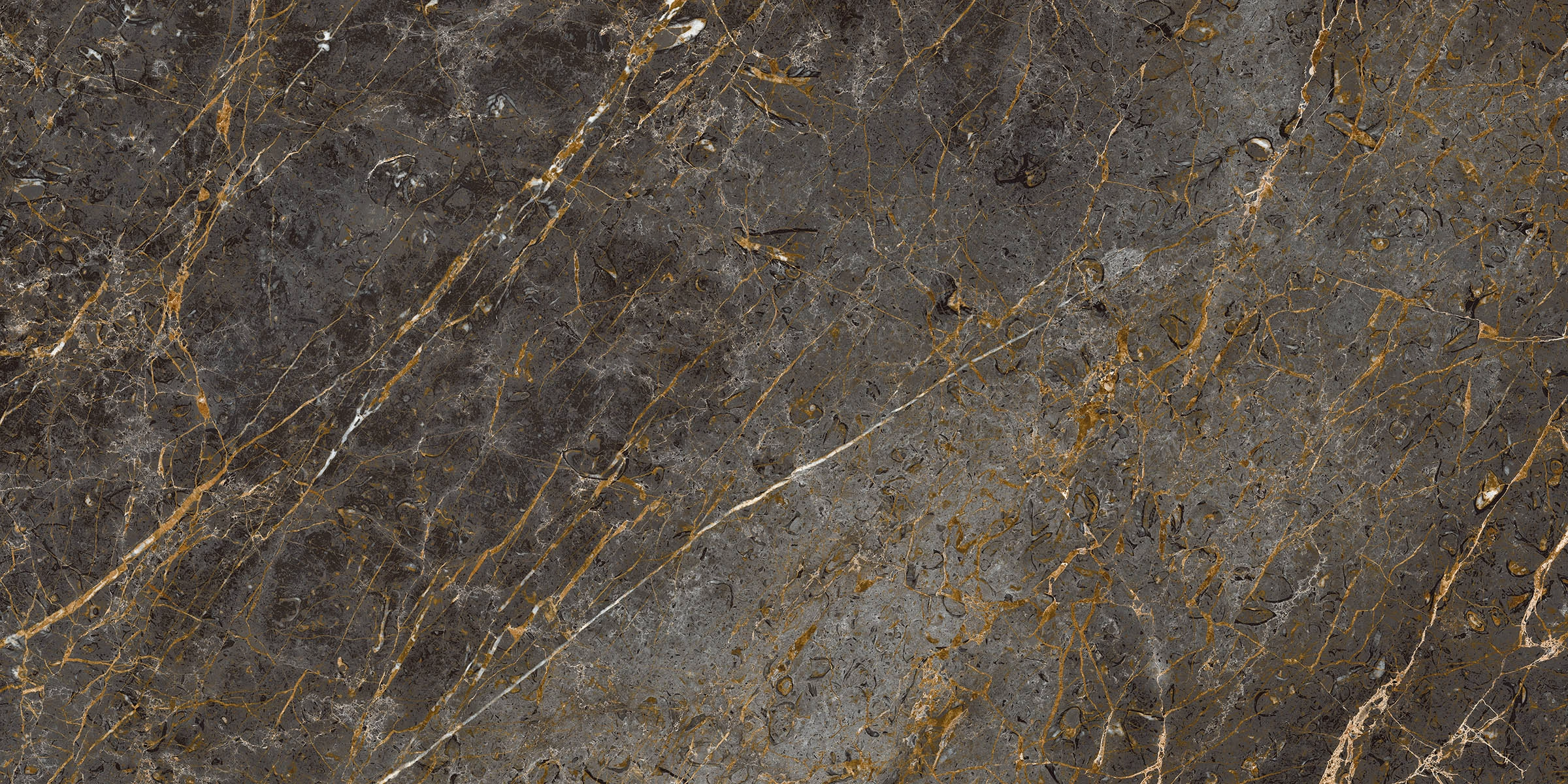 AE GOL6 12 LP 60x120