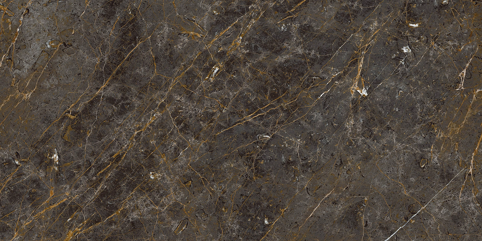 AE GOL6 12 RM 60x120