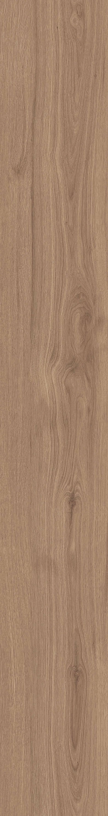 DAMA6 2015NO RM 20x150