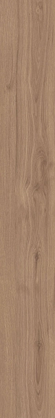 DAMA6 2015NO RM 20x150