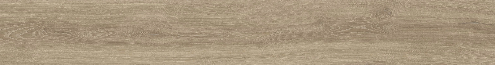 ELXR6 2015NO RM 20x150