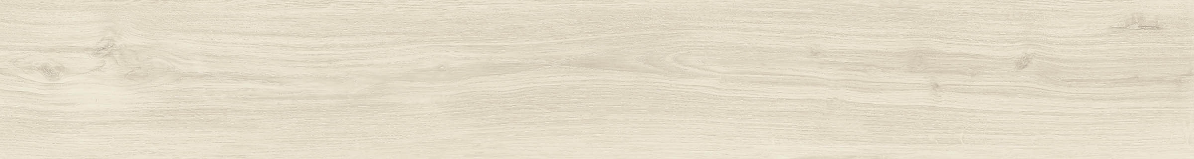 ELXR6 2015PA RM 20x150