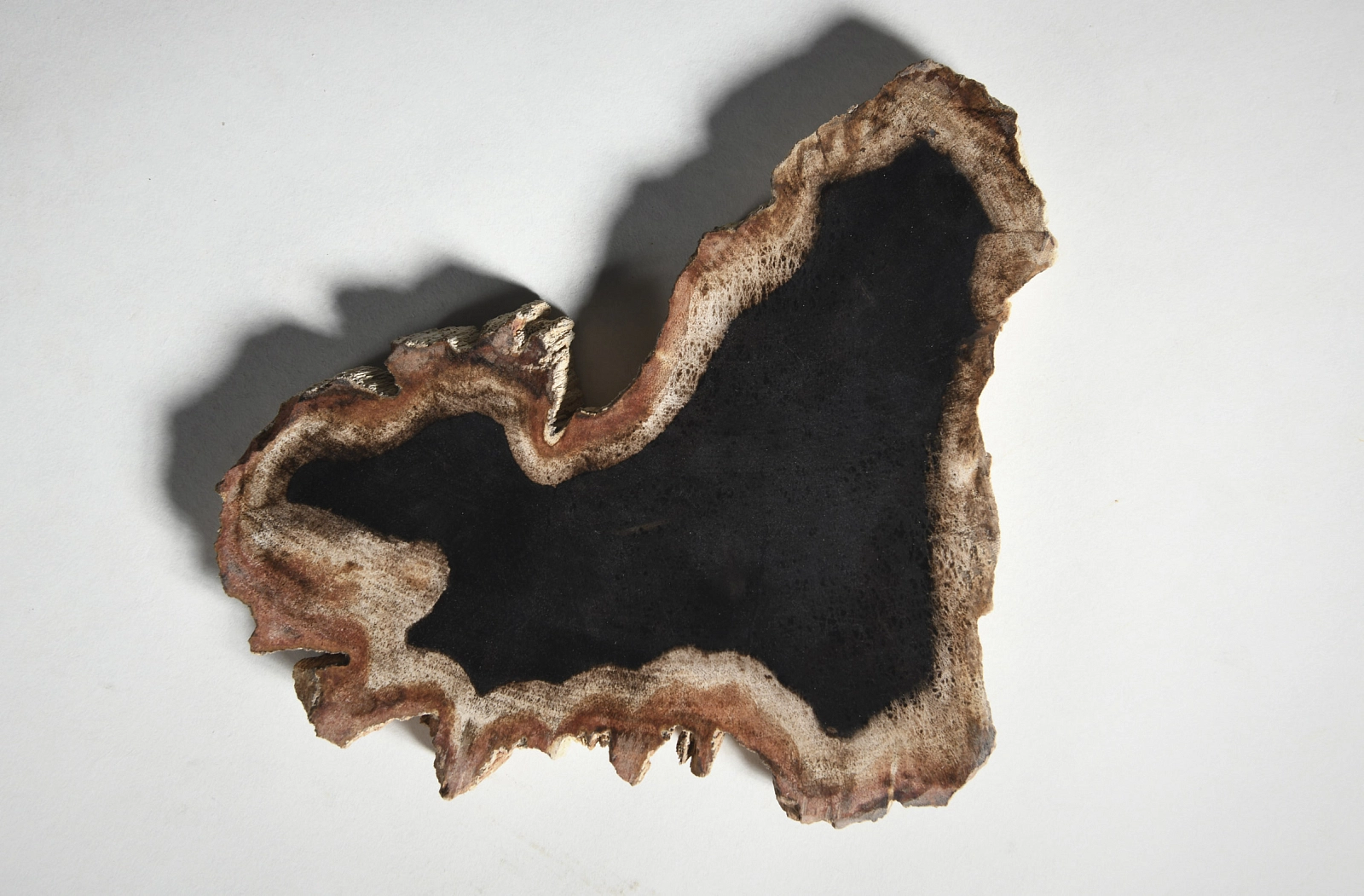 Декоративное блюдо 3P1RNS-43 21х14х2