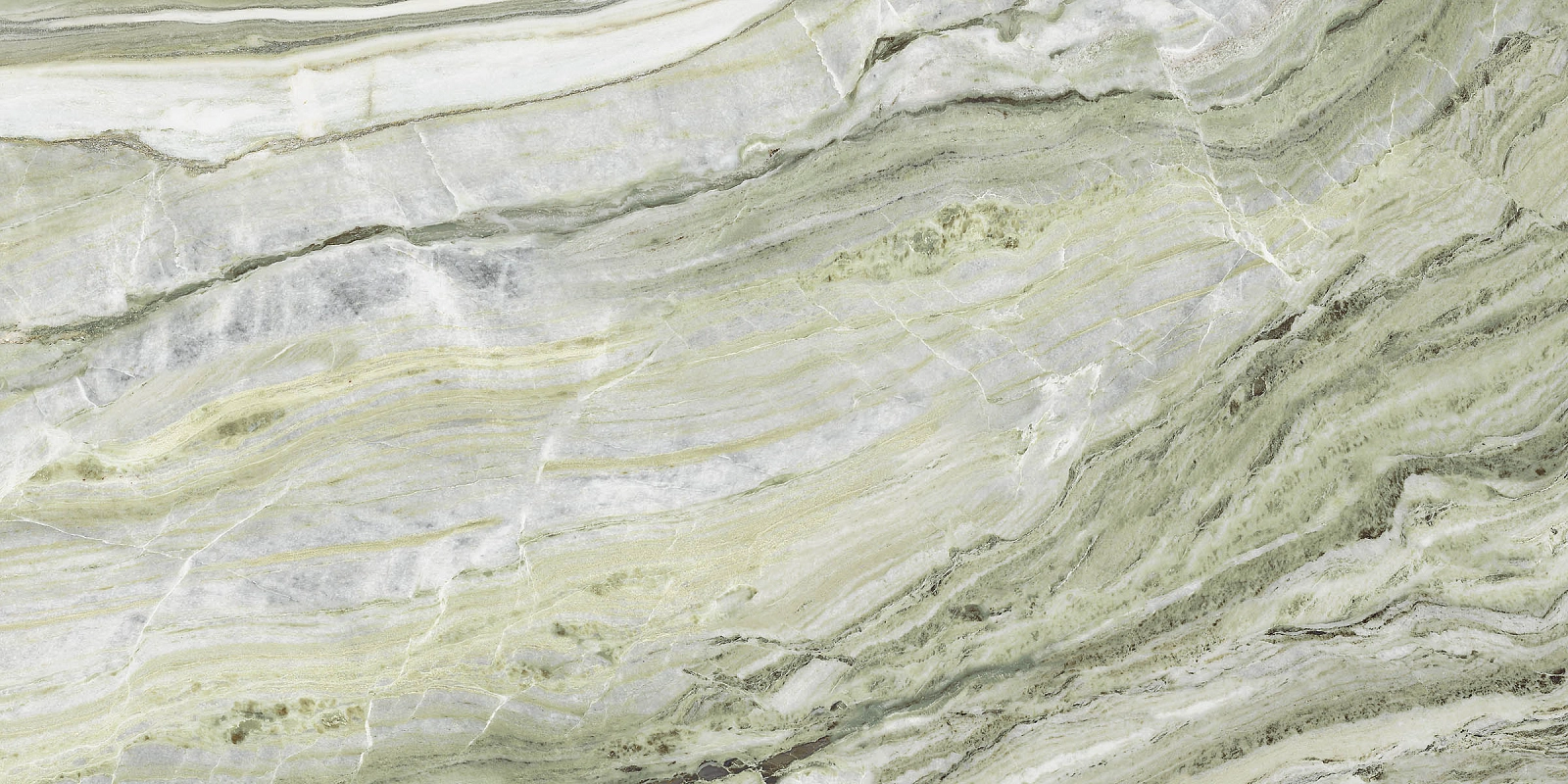 AE VER6 12 LP 60x120