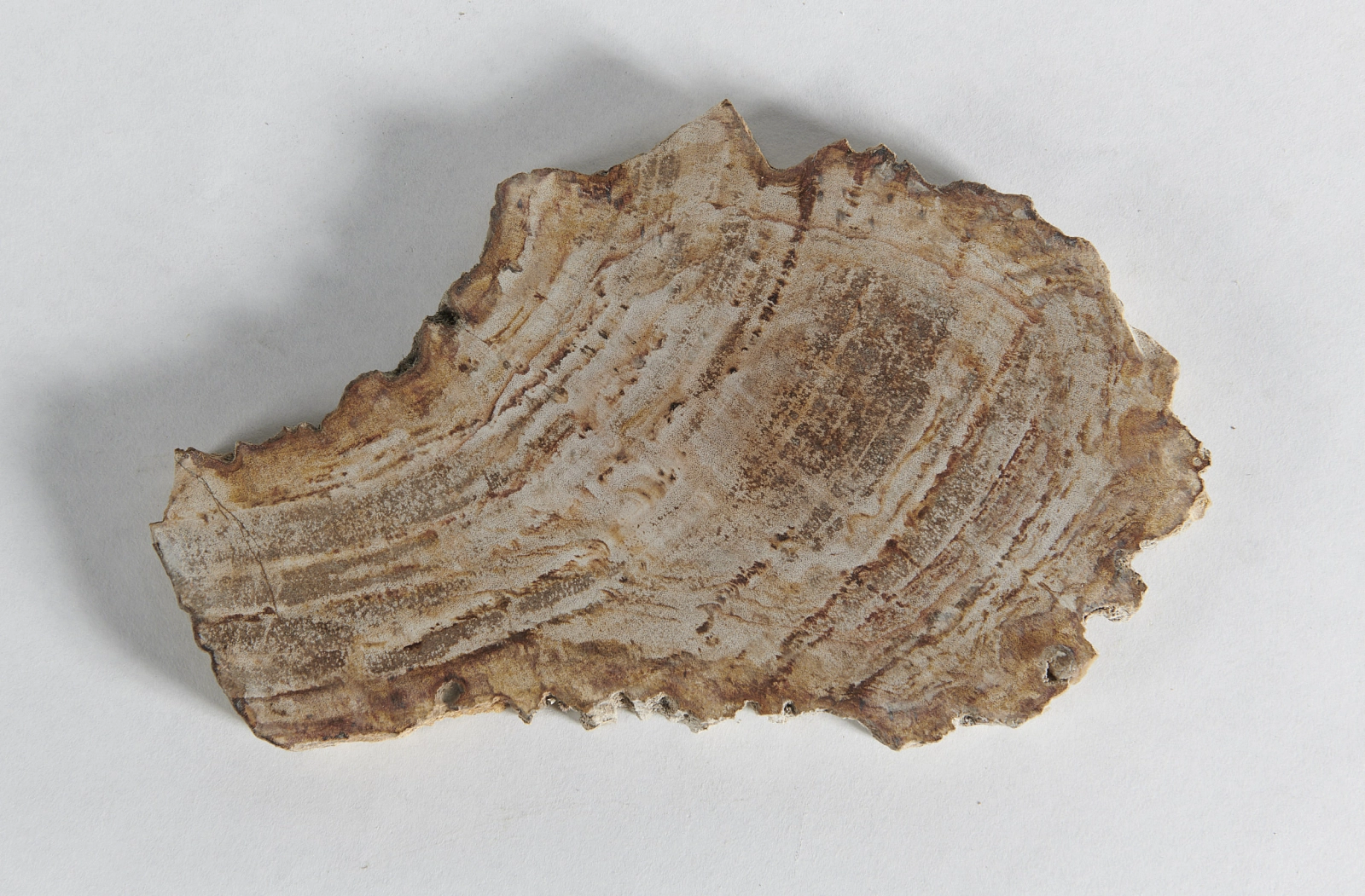 Декоративное блюдо 3P1RNS-40 27х18х2