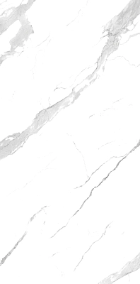 67400 Statuario 120x240