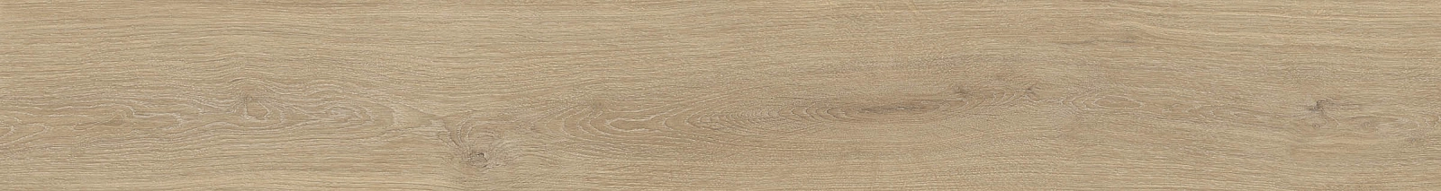 ELXR6 2015BS RM 20x150