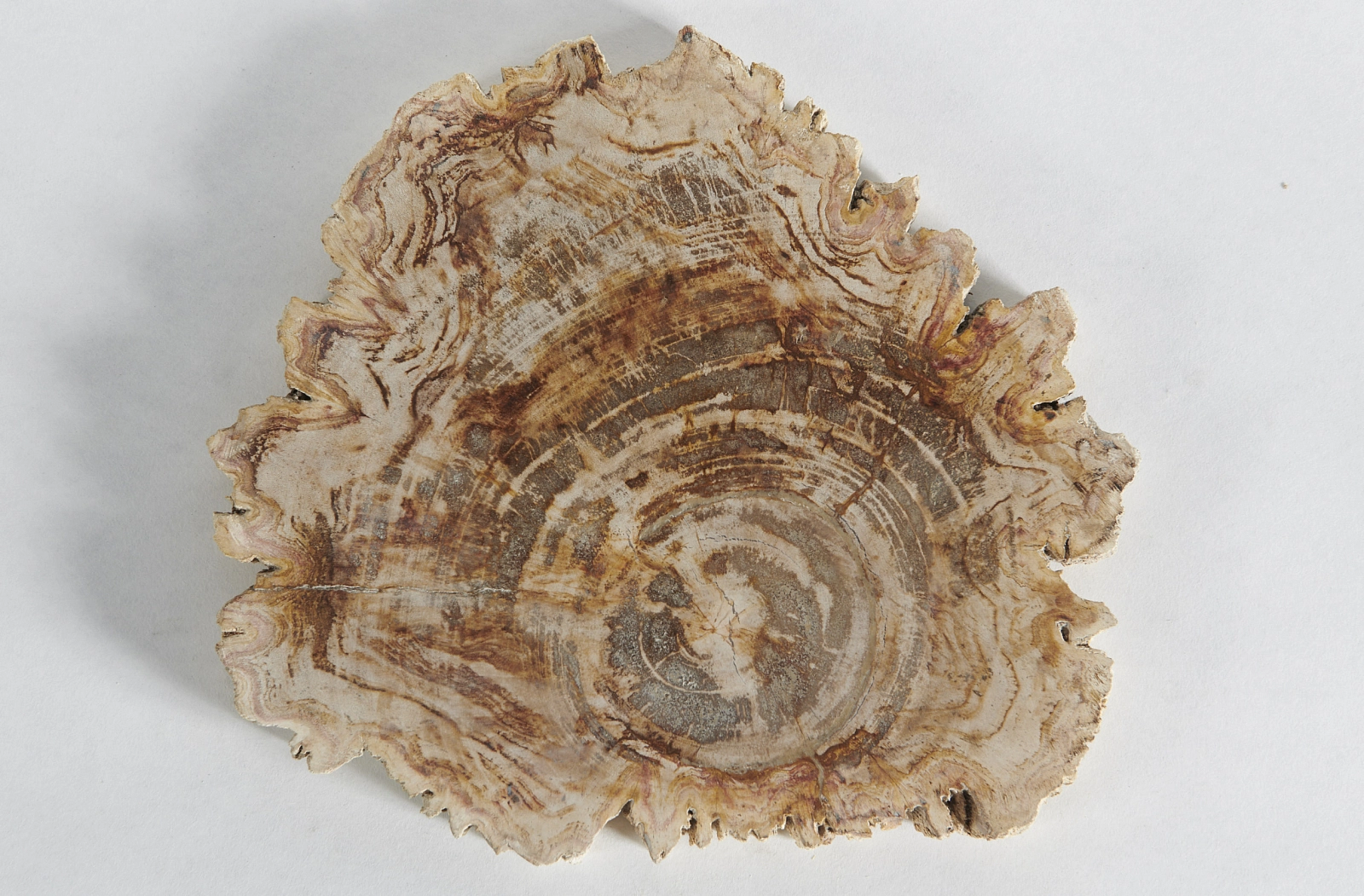 Декоративное блюдо 3P1RNM-20 26х24х2