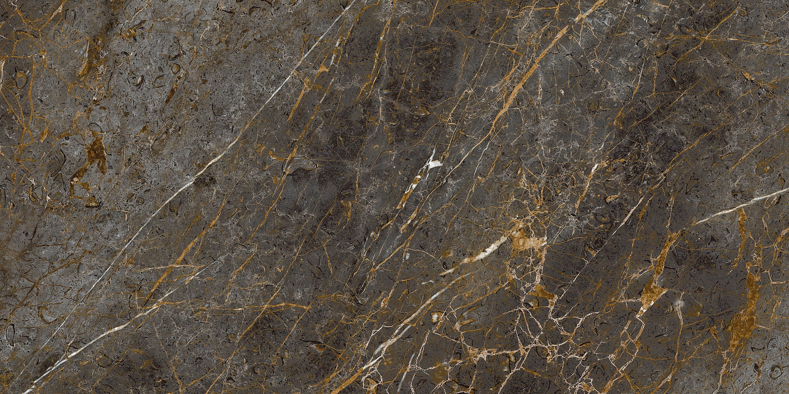 AE GOL6 12 LP 60x120