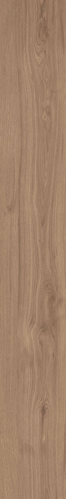 DAMA6 2015NO RM 20x150