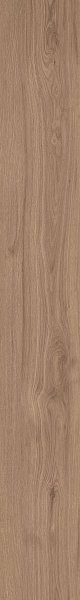 DAMA6 2015NO RM 20x150