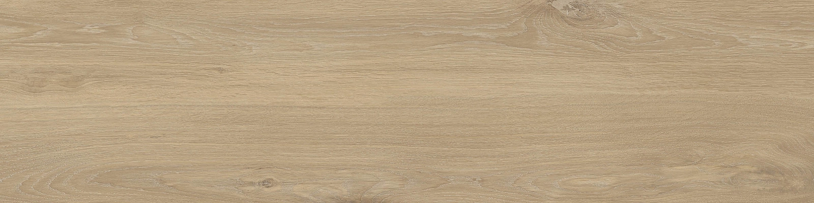 ELXR3012BS ASRM 30x120