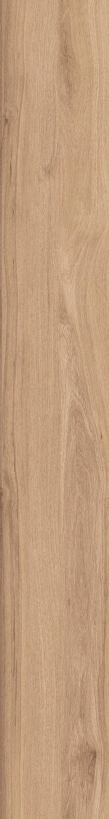 DAMA6 2015BS RM 20x150