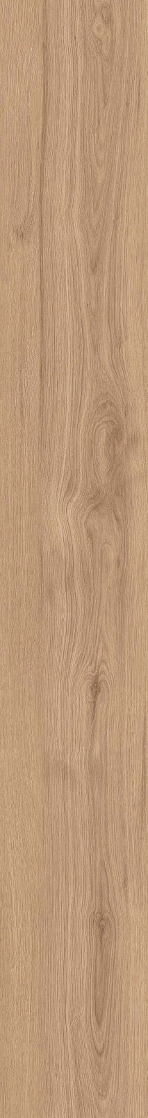 DAMA6 2015BS RM 20x150