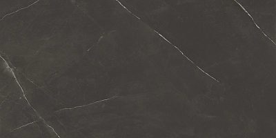 PIETRA ACTIVE BLACK 60X120