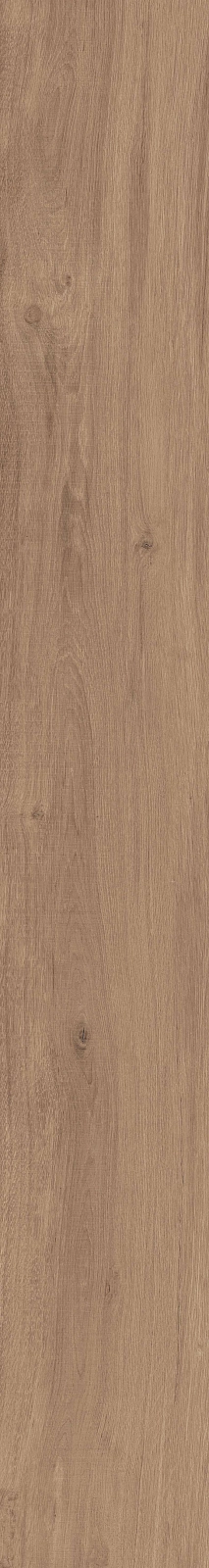 DAMA6 2015NO RM 20x150