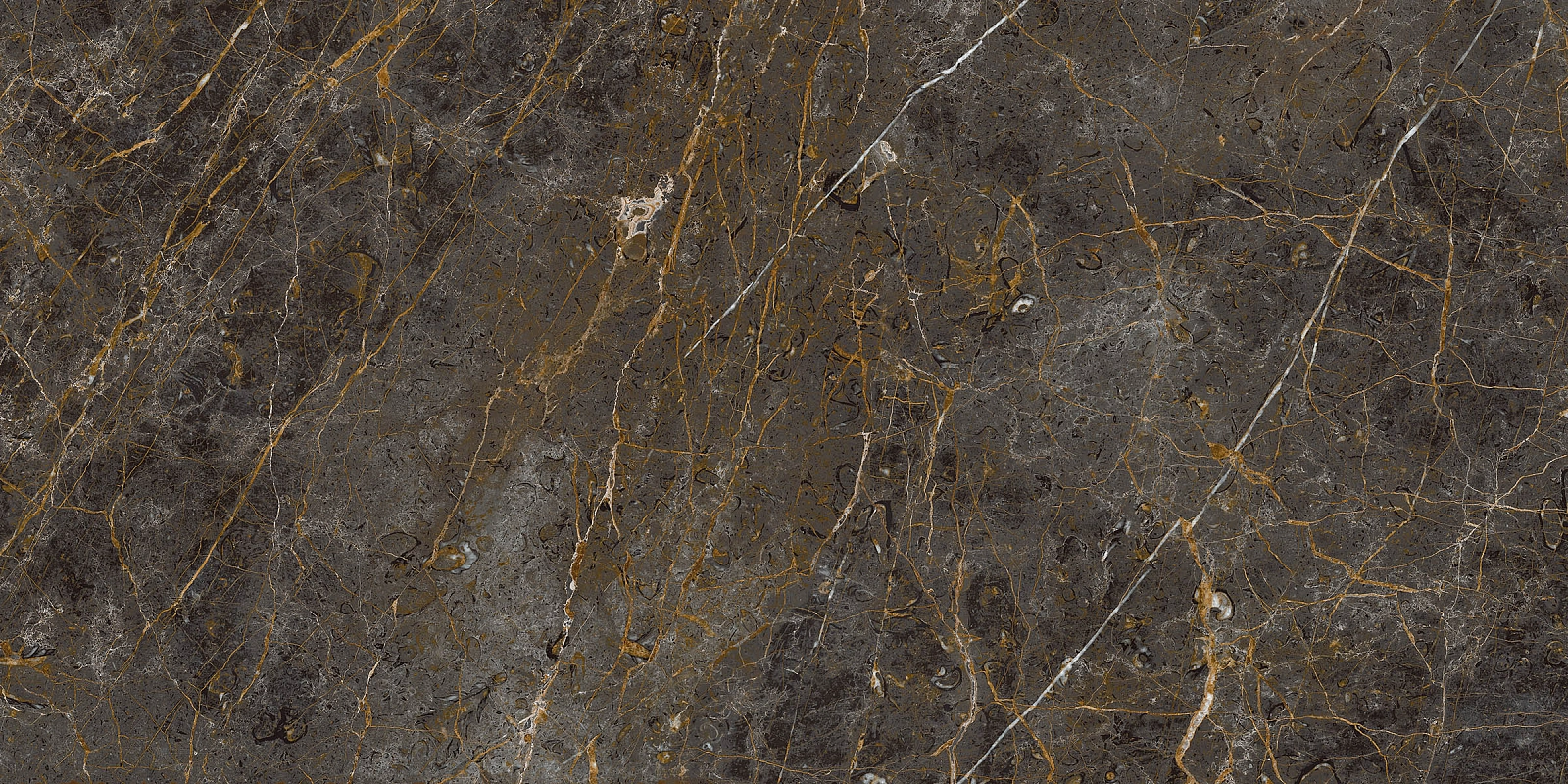 AE GOL6 12 RM 60x120