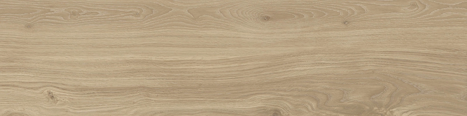 ELXR3012BS ASRM 30x120