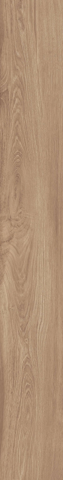 DAMA6 2015NO RM 20x150